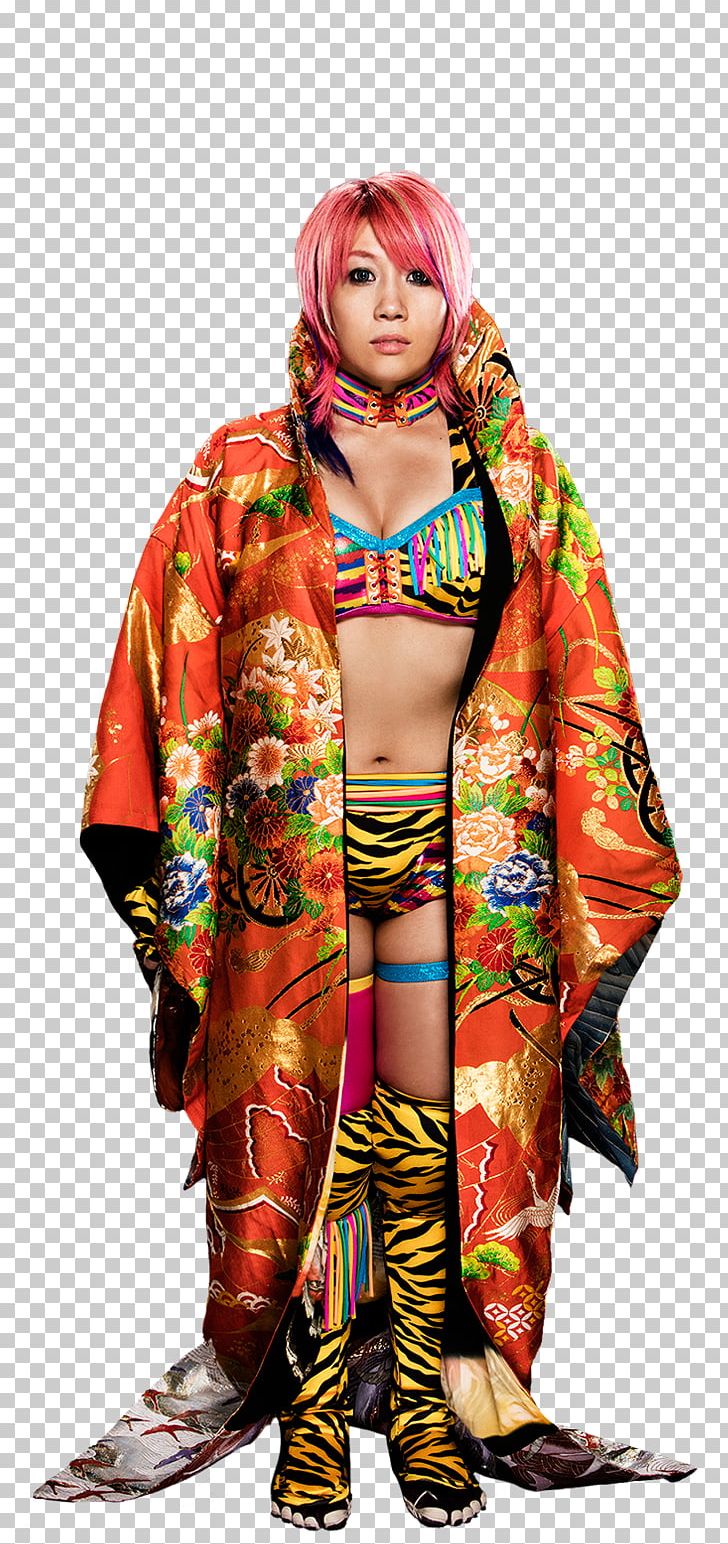 Asuka NXT Women's Championship Royal Rumble 2018 WWE NXT Women In.