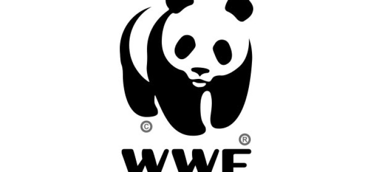 Download Free png WWF logo.