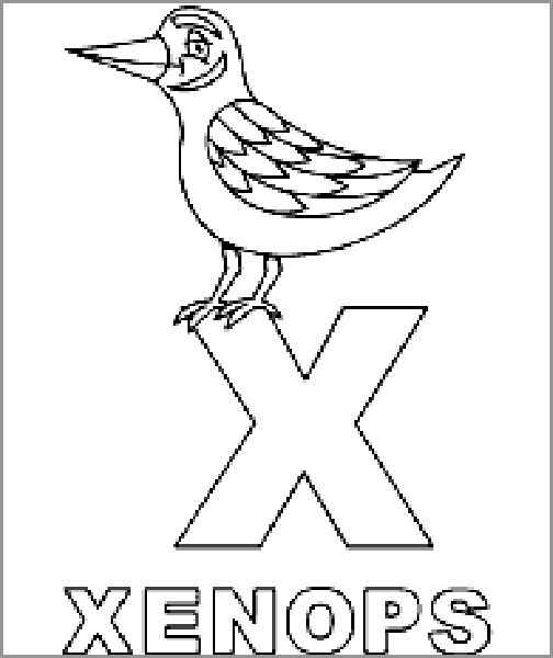 free Xenops coloring page.
