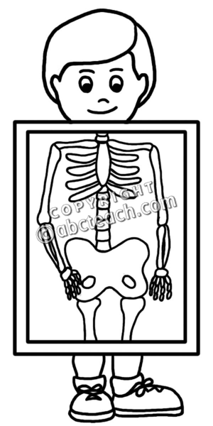 X Ray Clipart Black And White.