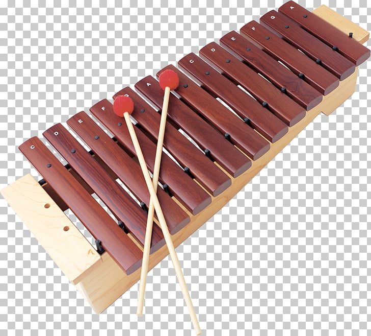 Xylophone Musical Instruments Percussion mallet, Xylophone.