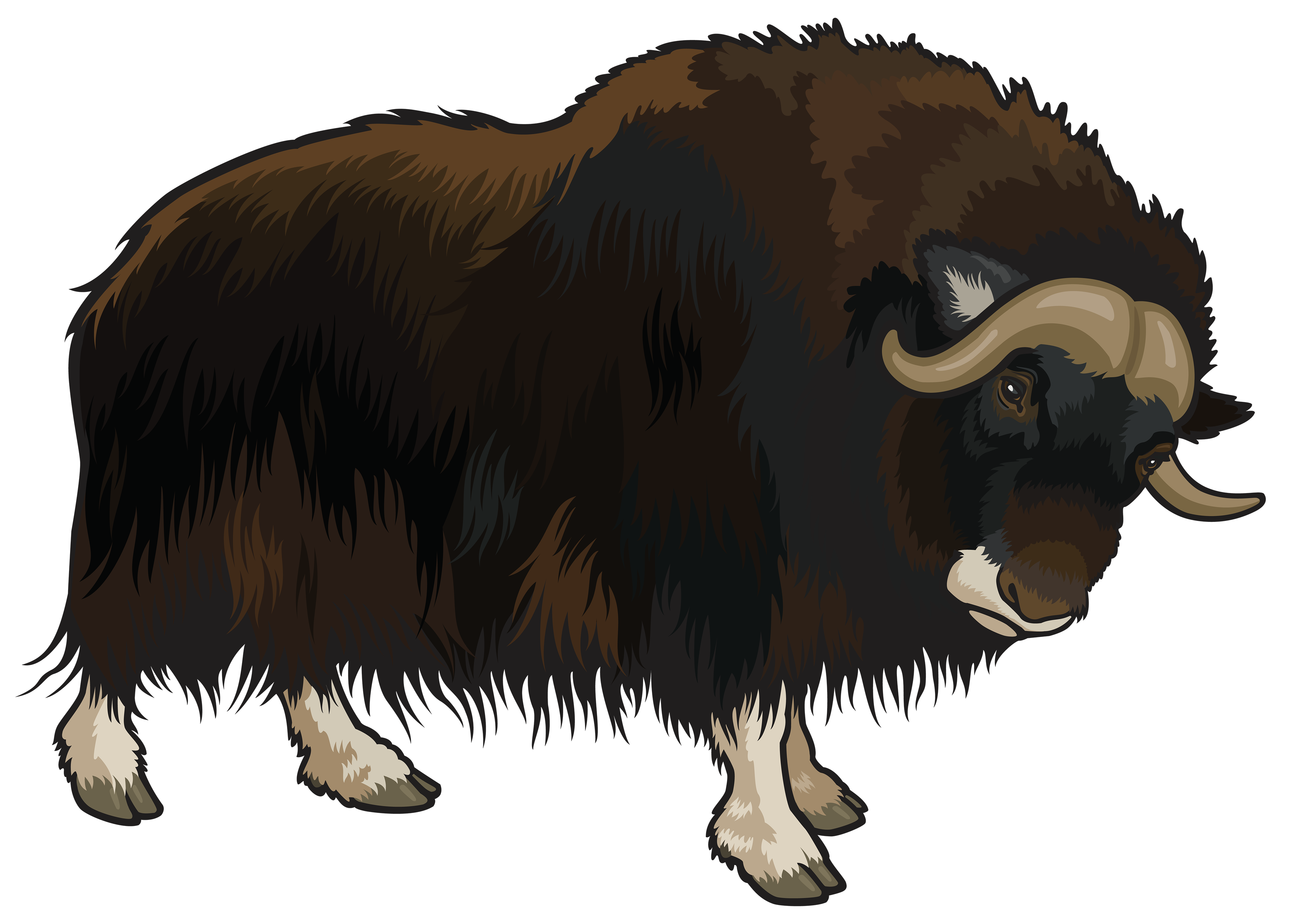 Yak Clipart Png.