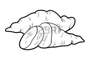 Yam clipart black and white_1 » Clipart Station.