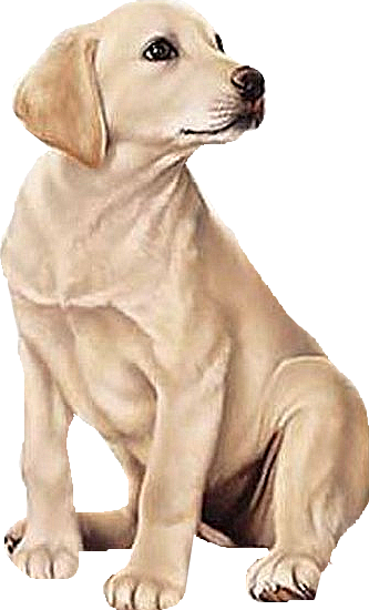 Pin by Jennifer Holmes on YELLOW LAB Clipart in 2019.