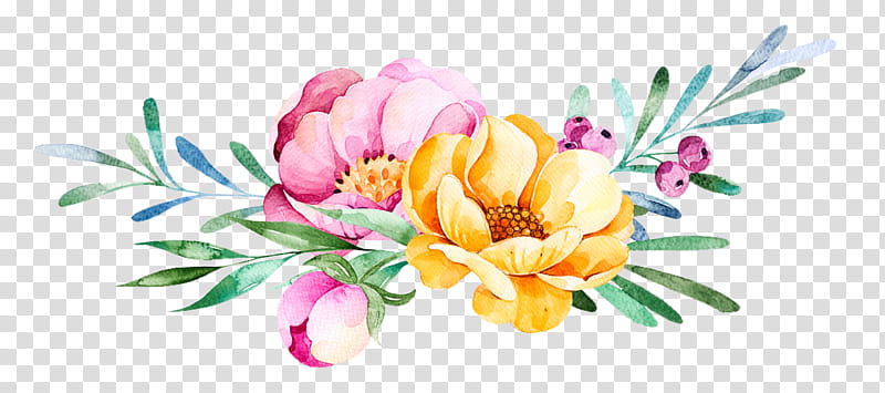 Flowers, pink and yellow petaled flower transparent.