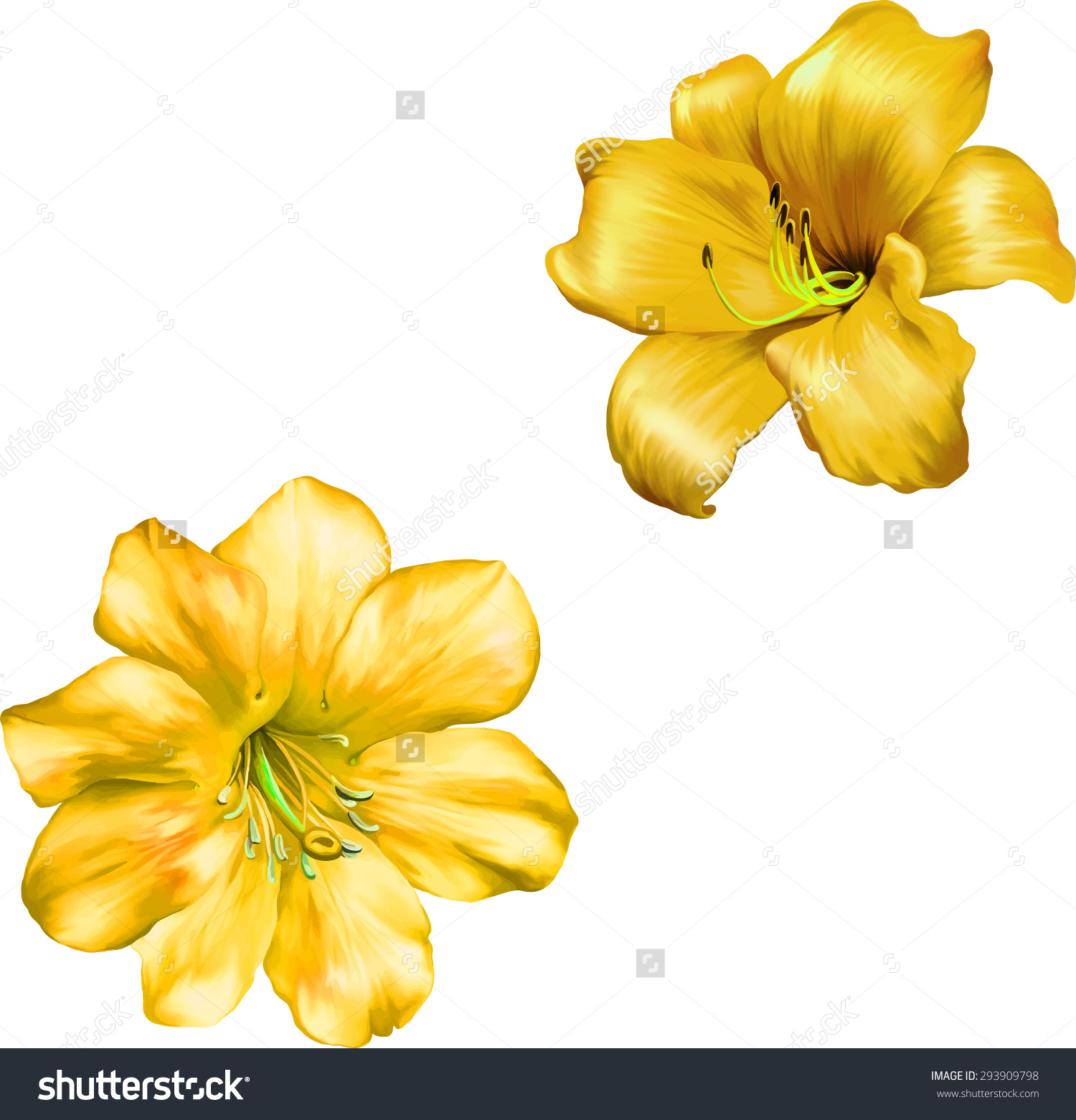 yellow bell flower clipart 20 free Cliparts | Download images on ...
