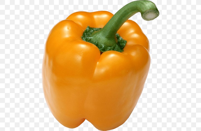 Clip Art Chili Pepper Yellow Pepper Paprika, PNG, 480x535px.