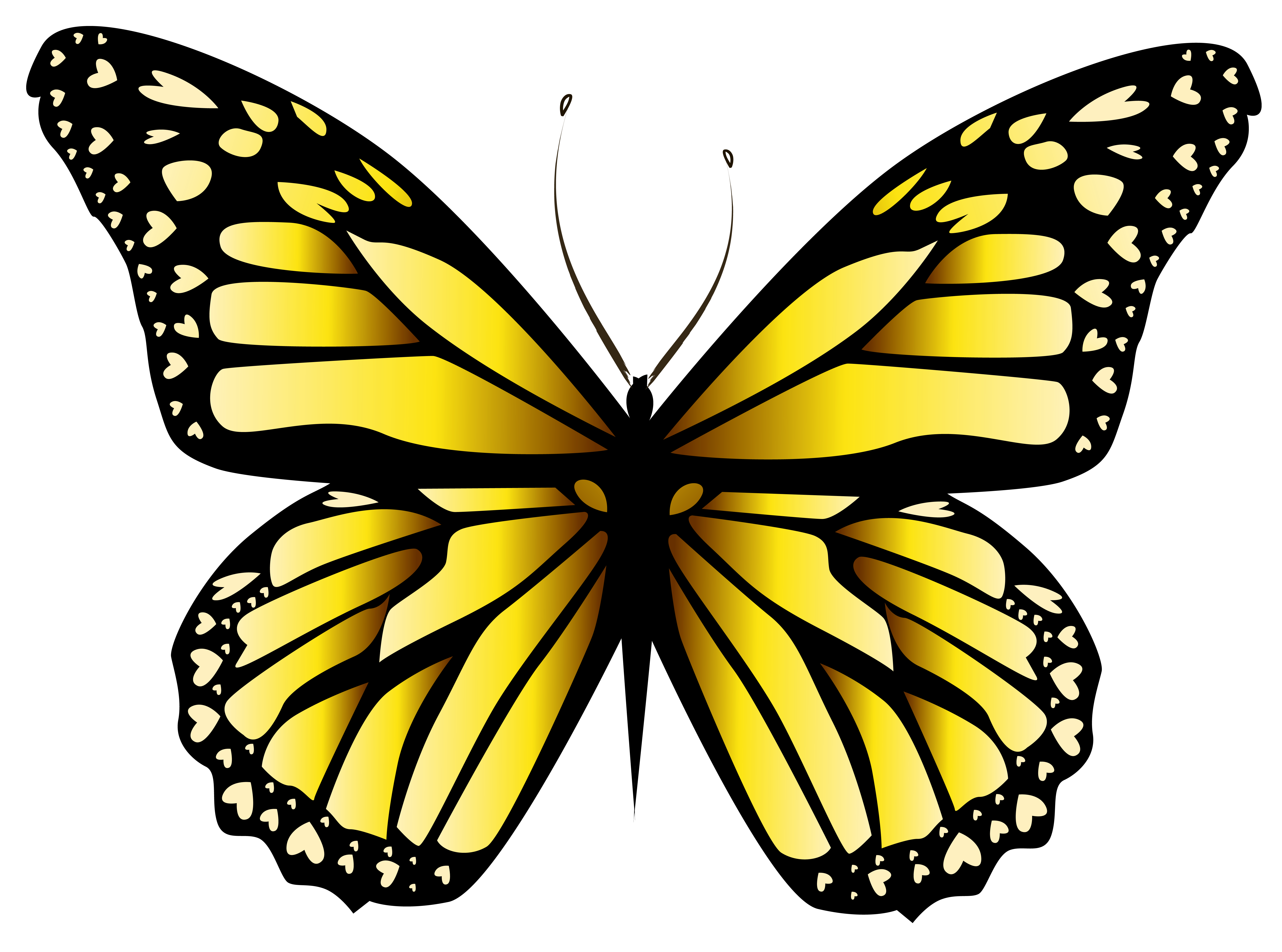 Butterflies Borboletas Amarelas Desenho Png Free | The Best Porn Website