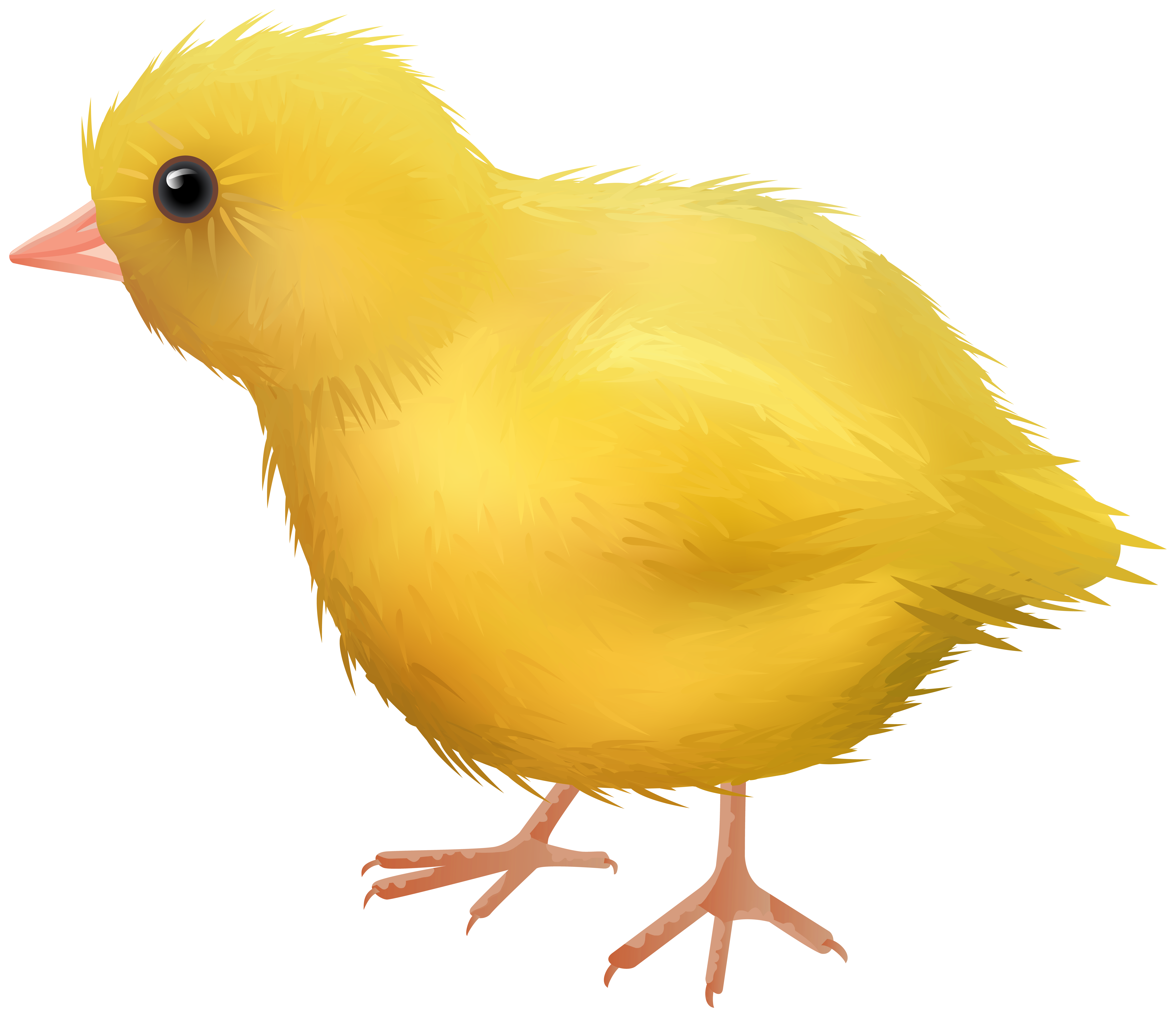 Yellow Chicken Transparent Image.