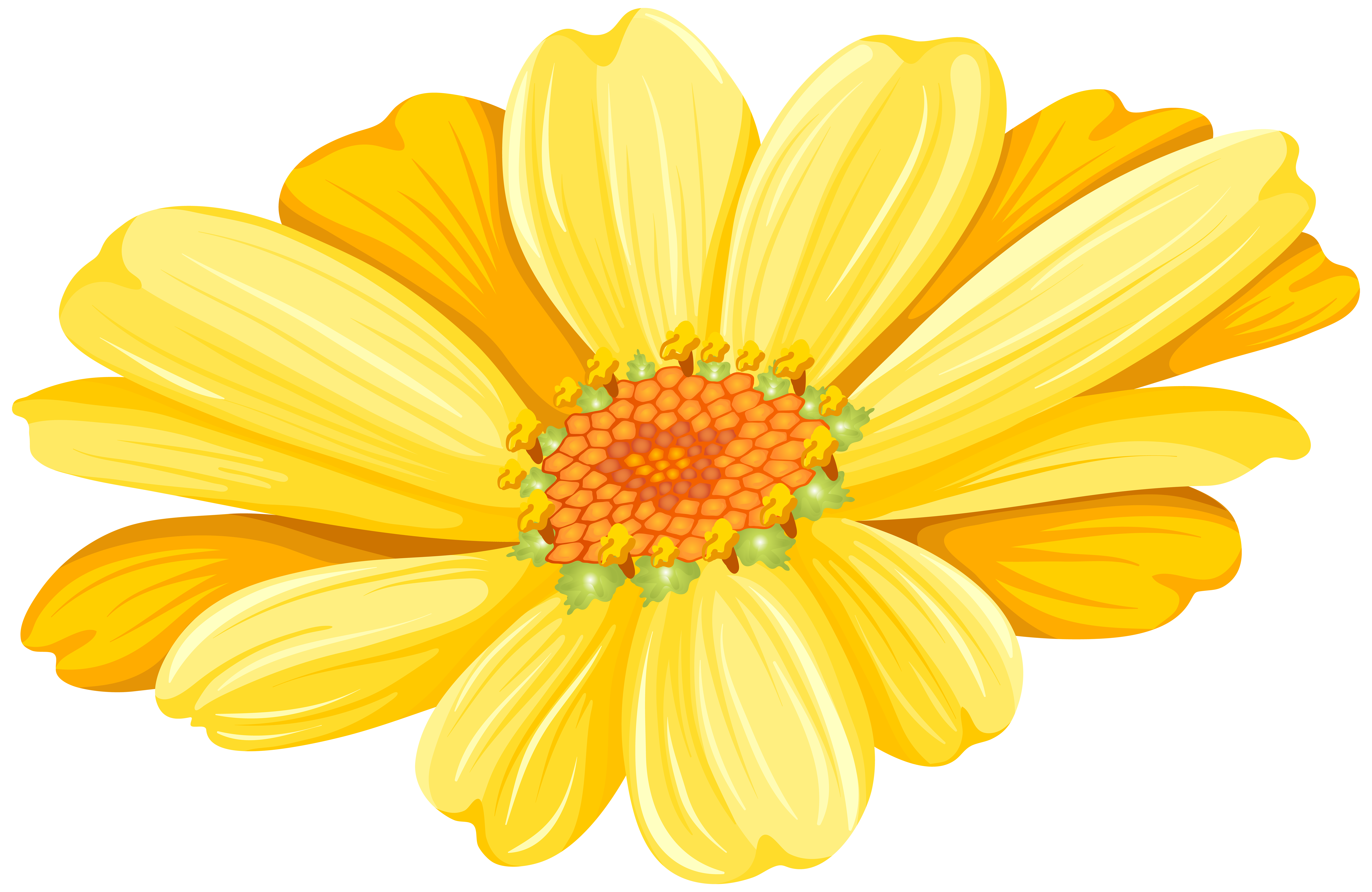 Yellow Daisy Transparent Clip Art Image.