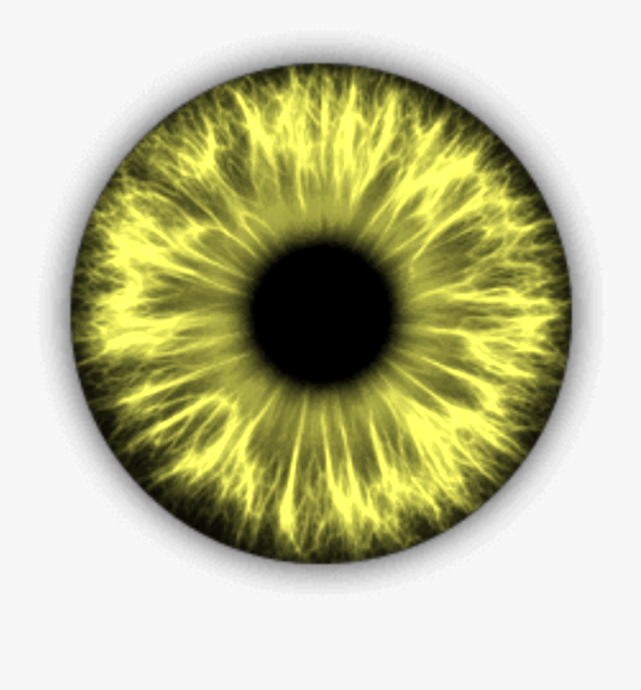 Yellow Eye Clipart Png Free Cliparts Download Images On Clipground