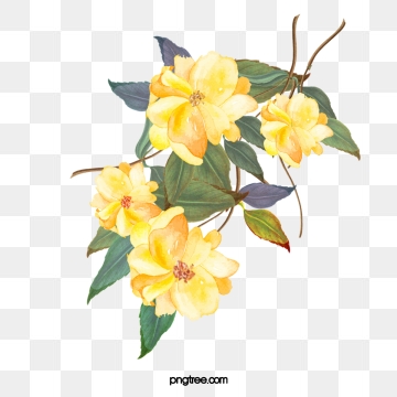 Yellow Flowers Png, Vector, PSD, and Clipart With Transparent.