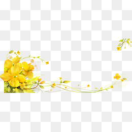 Yellow Flower PNG Images.
