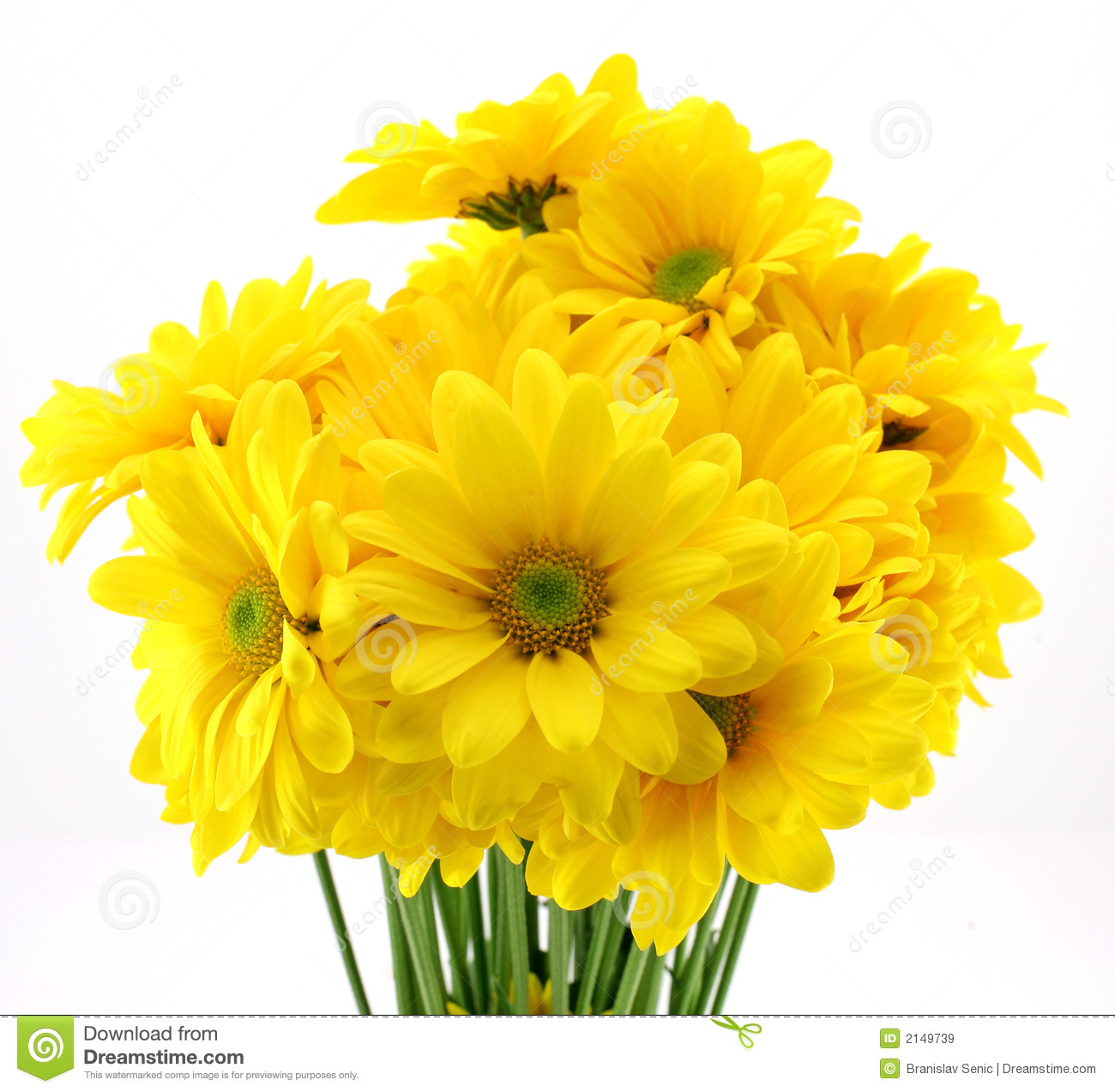 Download yellow flowers image 20 free Cliparts | Download images on ...