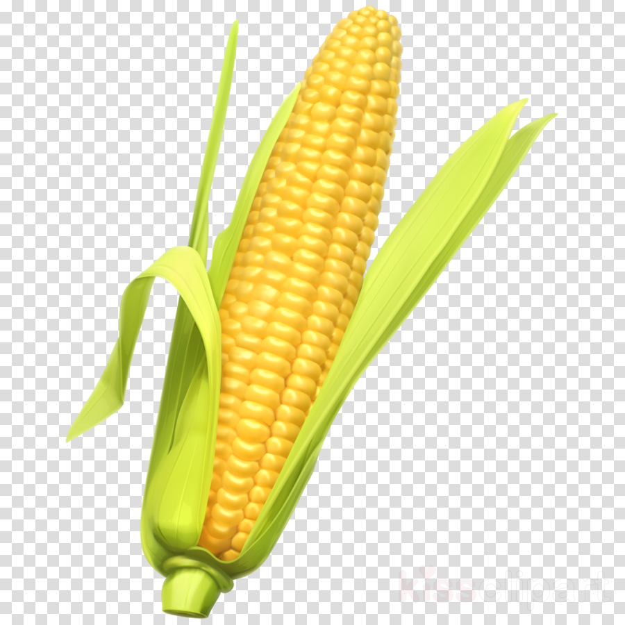 Corn Cartoon clipart.