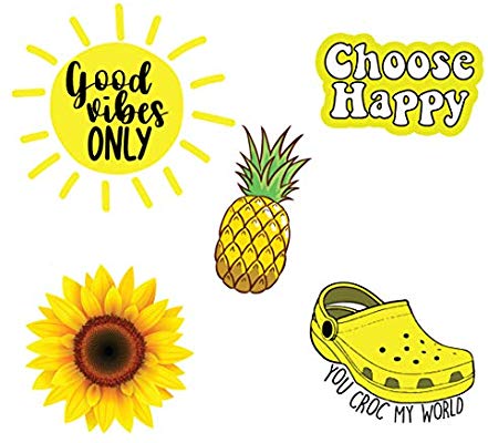 Pack of 5 Cute hydroflask Stickers for Teens, Yellow.
