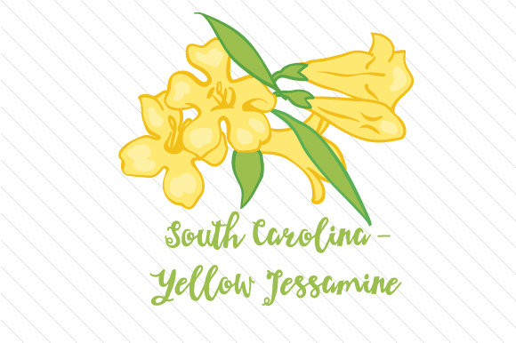 Download yellow jessamine clipart 10 free Cliparts | Download ...