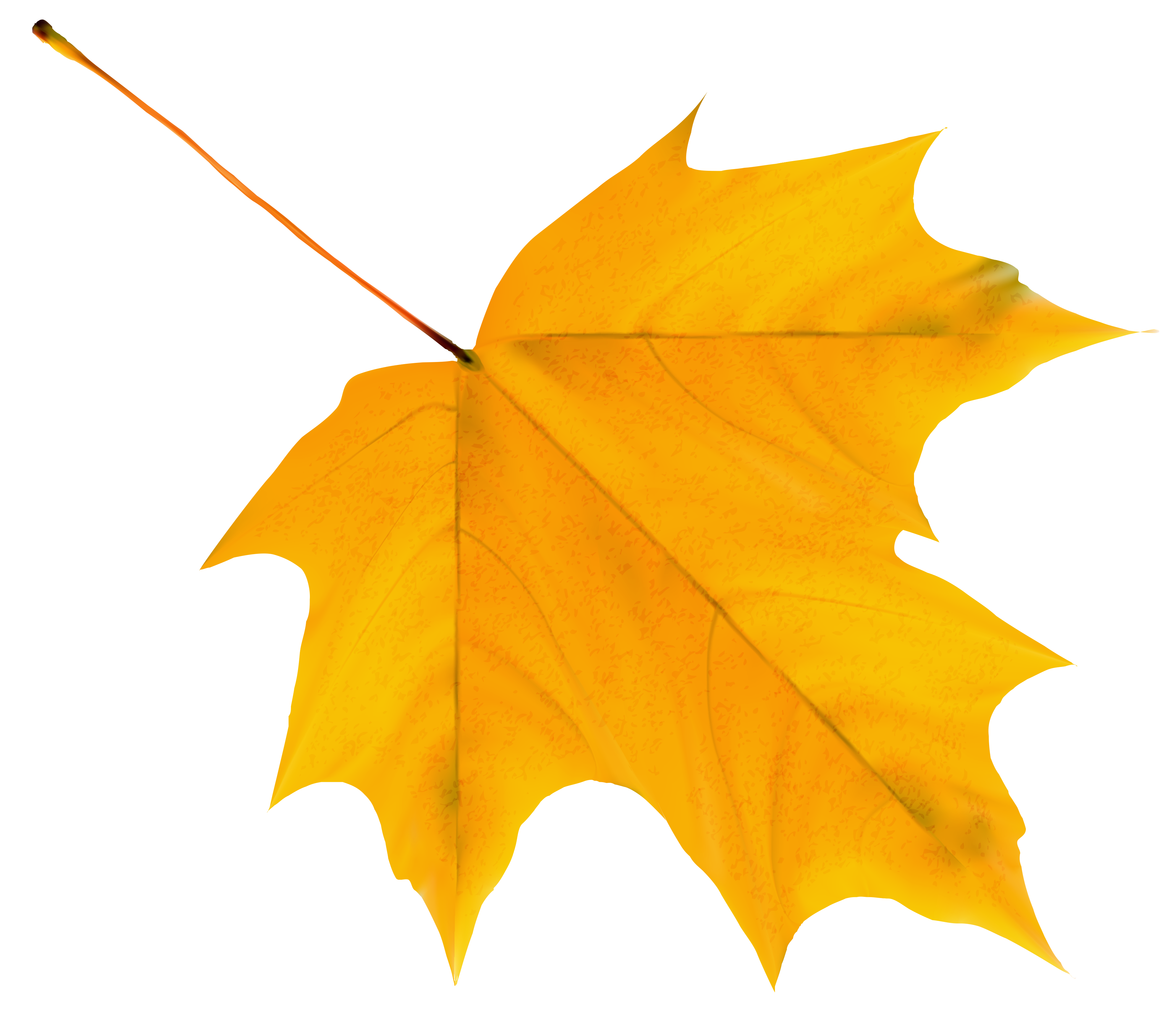 Yellow Leaf Clipart 20 Free Cliparts Download Images On Clipground 2023