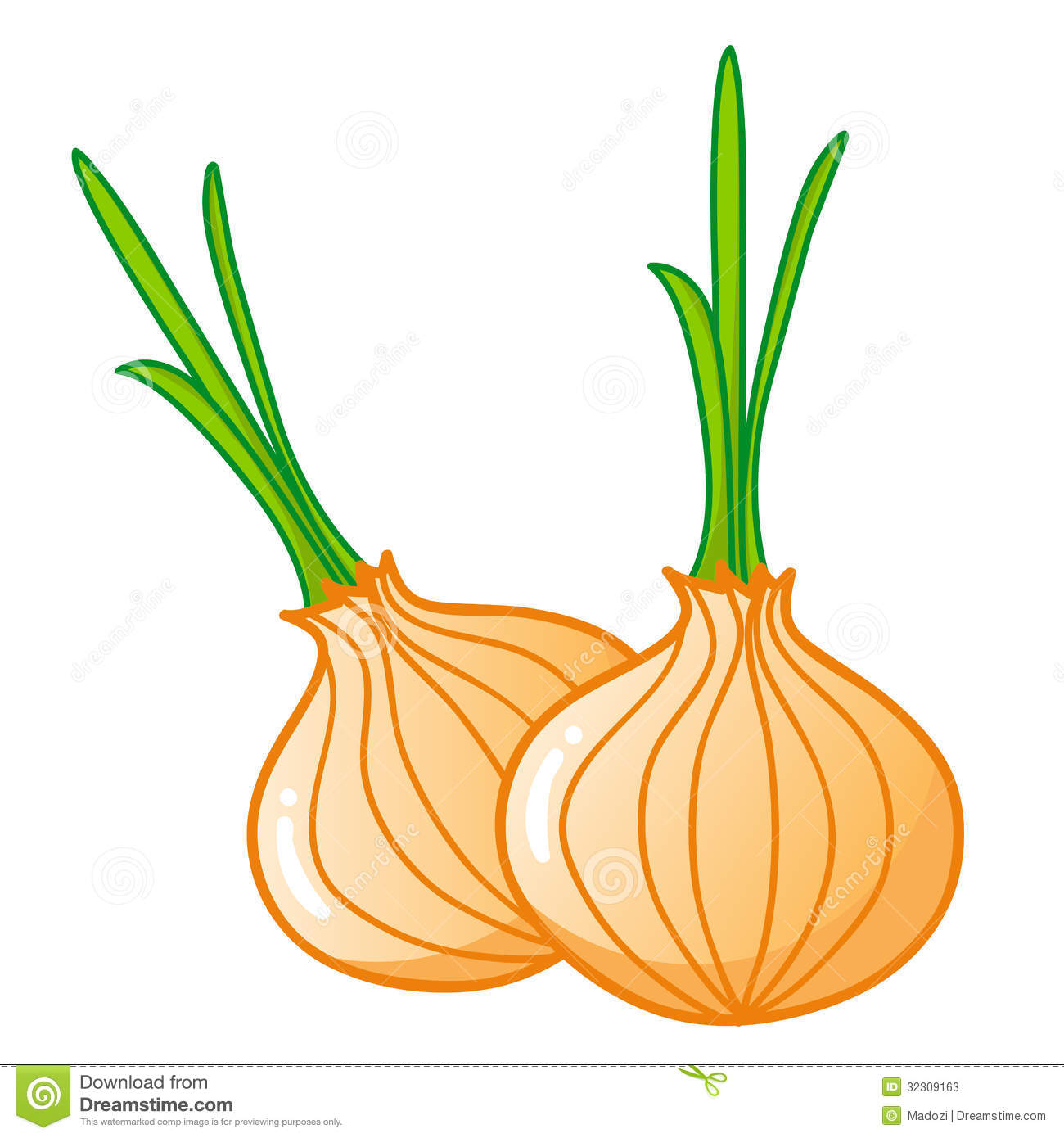 Yellow Onions Clipart.