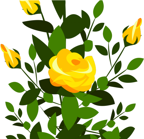 yellow rose bush clipart 10 free Cliparts | Download images on ...