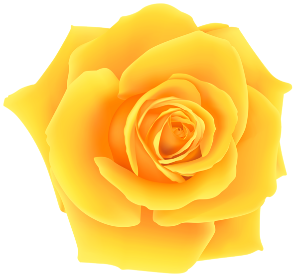 Download Yellow rose clipart 20 free Cliparts | Download images on Clipground 2020