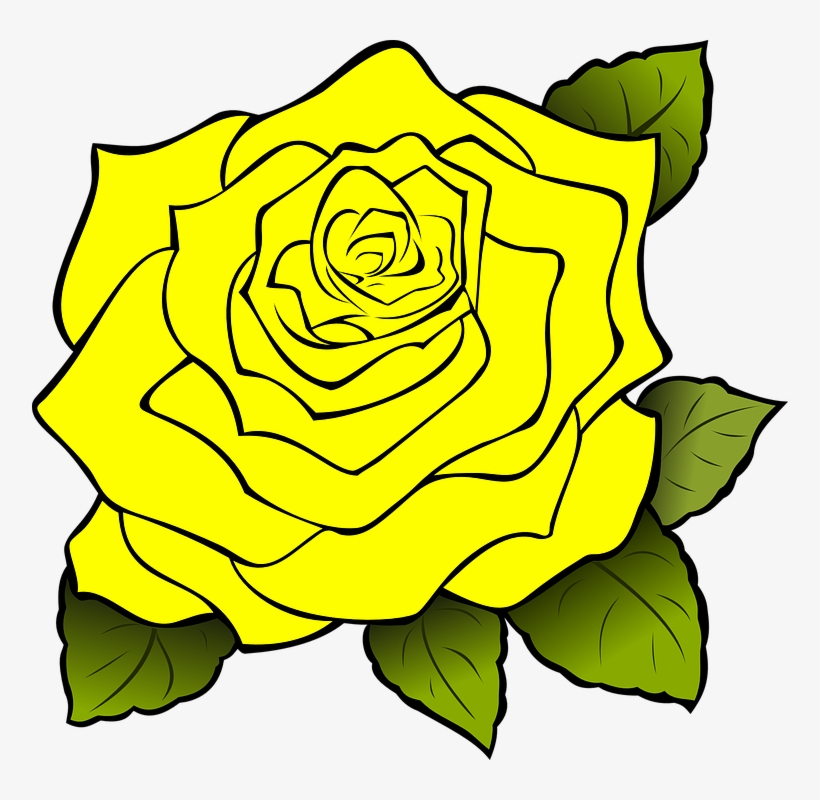 Yellow Rose Flower Free Png Transparent Images Free.