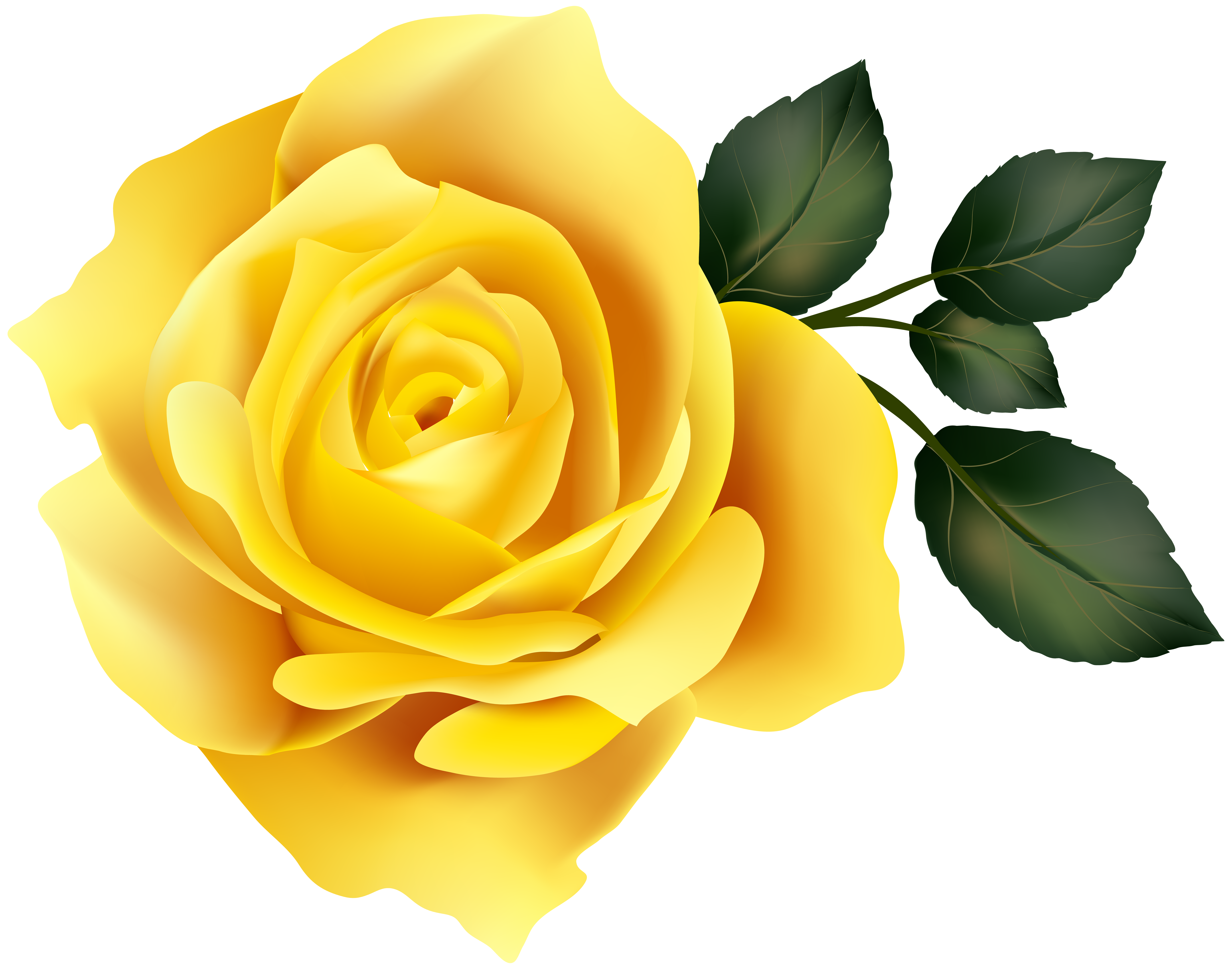 Download yellow rose clipart png 10 free Cliparts | Download images ...