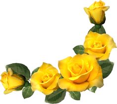 yellow rose corner clipart 10 free Cliparts | Download images on ...