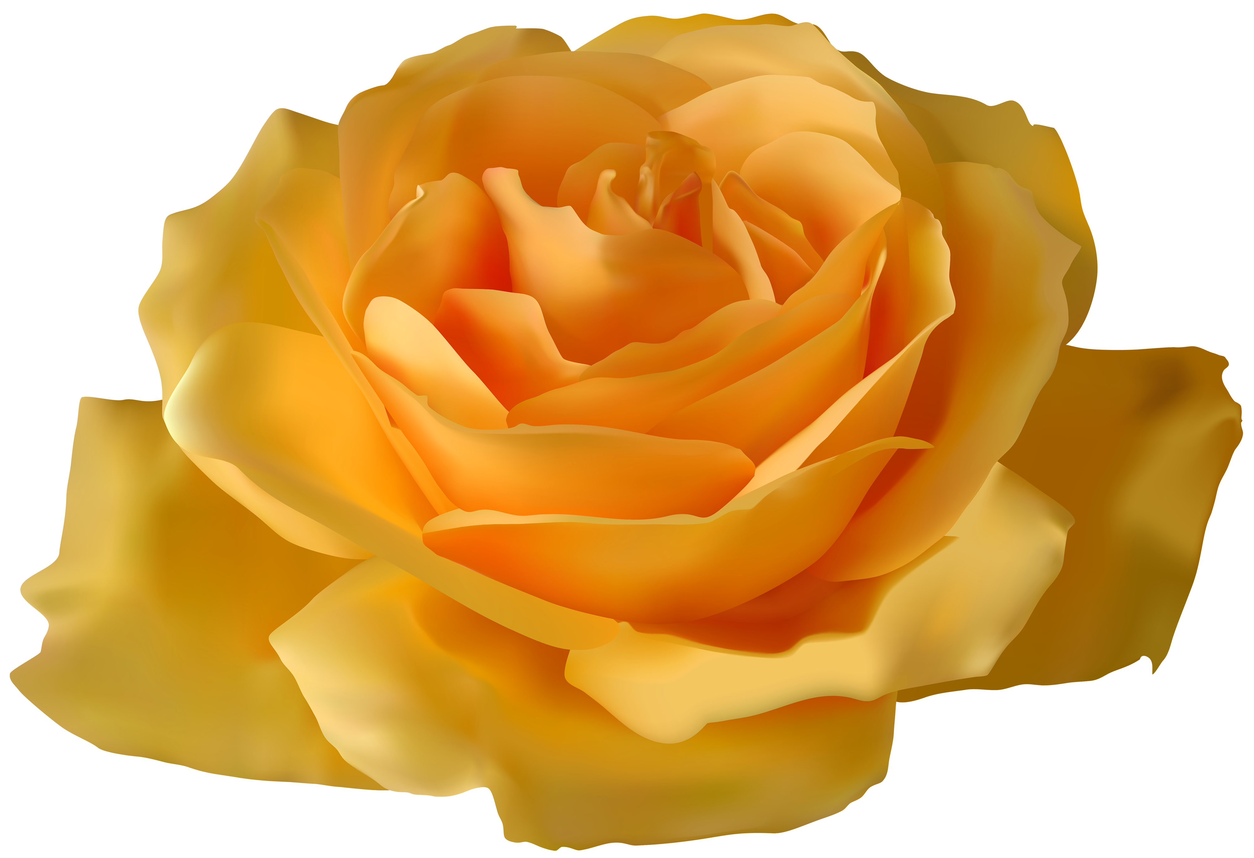 Yellow Rose PNG Clipart.
