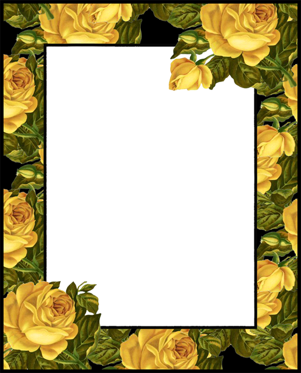 Transparent PNG Photo Frame with Yellow Roses.