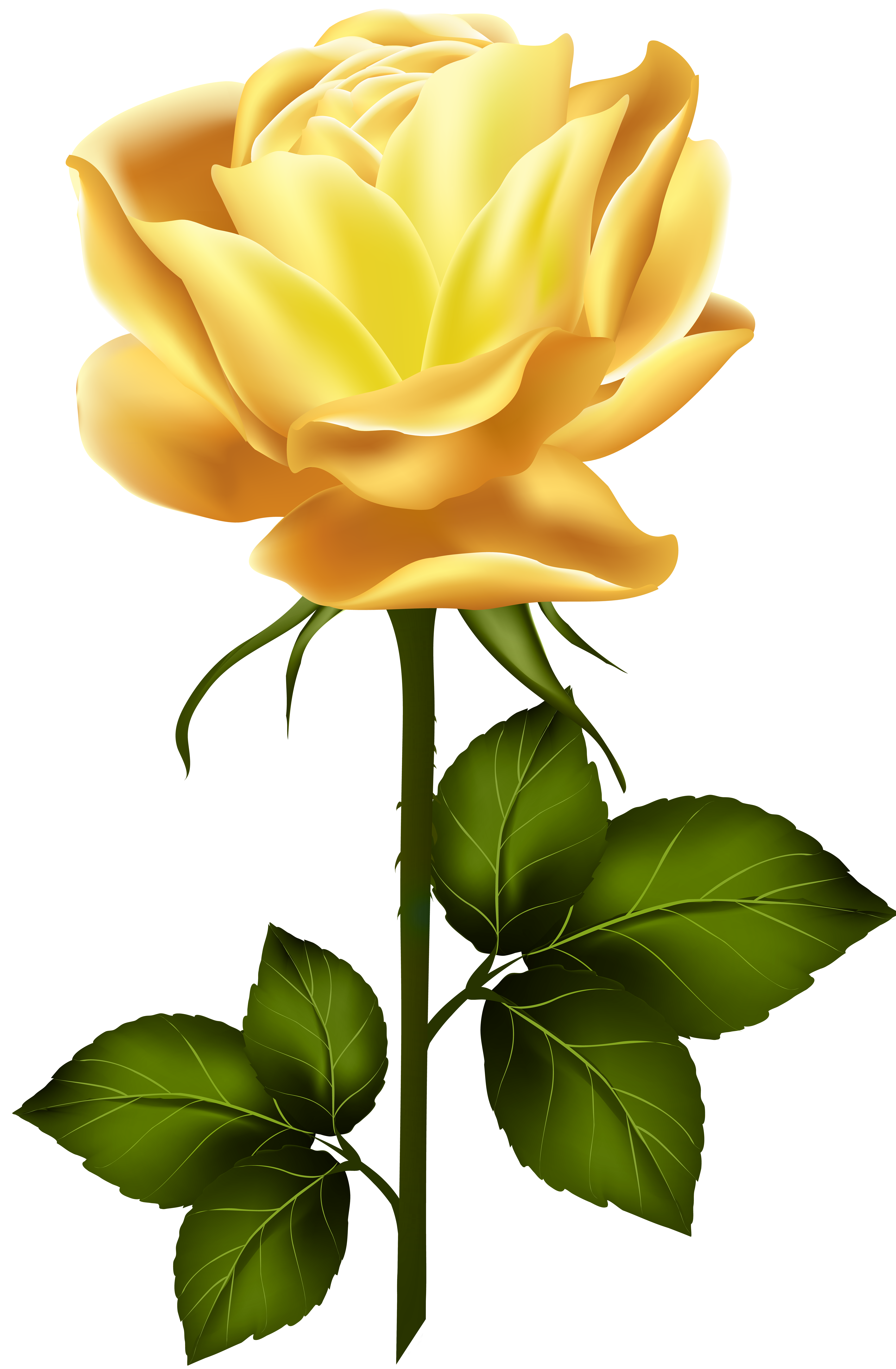 Yellow Rose with Stem PNG Clip Art.