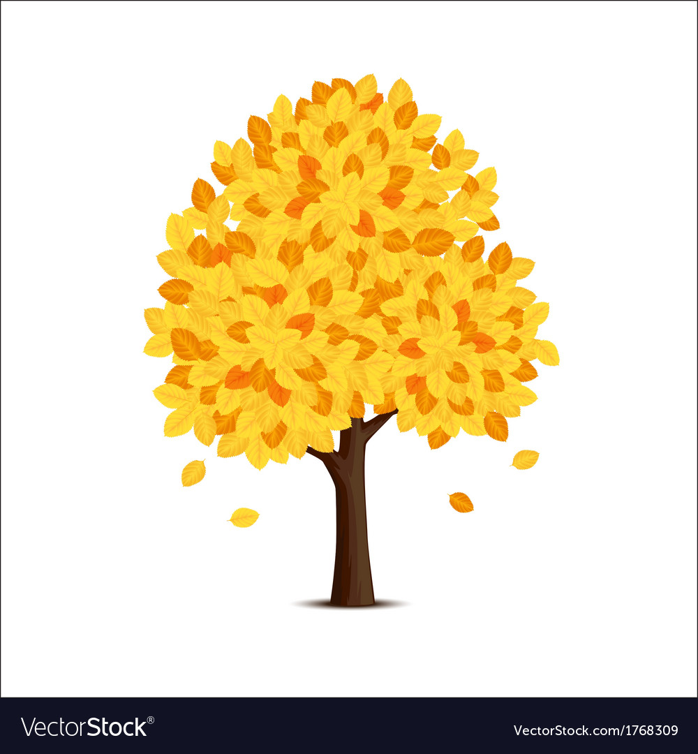 Tree with yellow leaves.