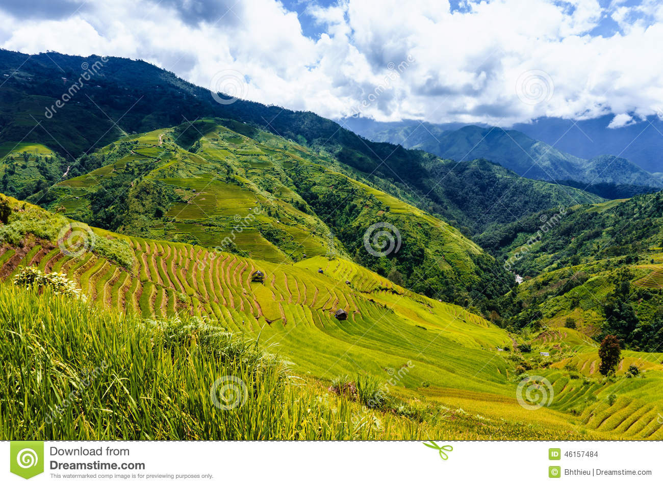 Vietnam Landscape: Rice Terraces At Mu Cang Chai, Yen Bai, Viet.