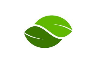 Yin yang leaf logo.