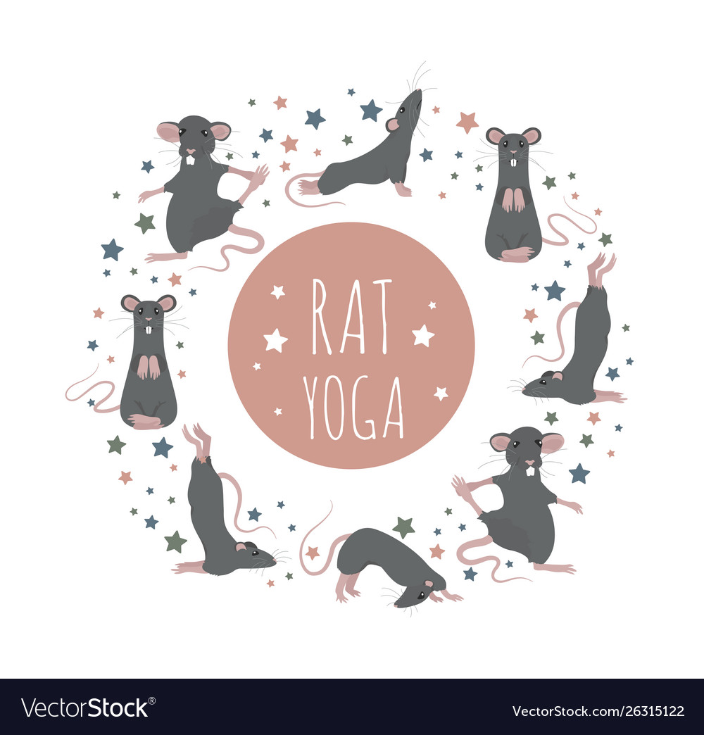 Rat yoga poses and exercises cute cartoon clipart.
