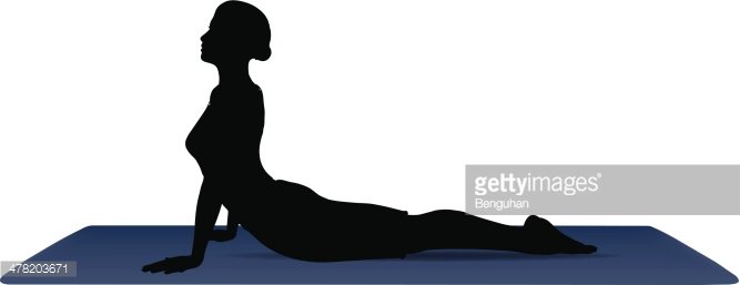 vector illustration of Yoga positions in Cobra Pose Clipart.