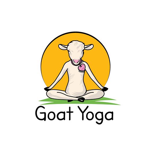 Student Goat Yoga Event.