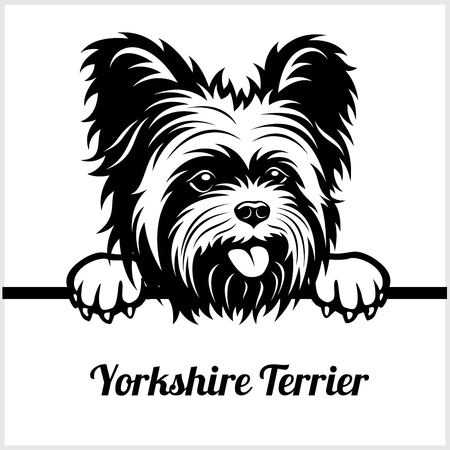 1,266 Yorkshire Terrier Stock Vector Illustration And.