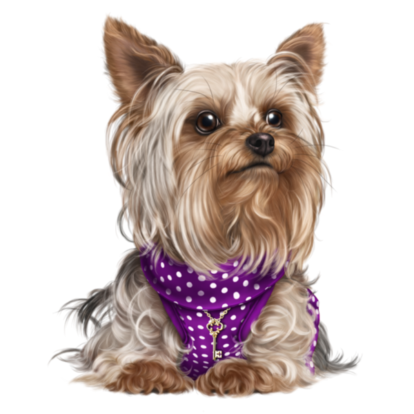 Clipart puppy yorkie poo, Clipart puppy yorkie poo.