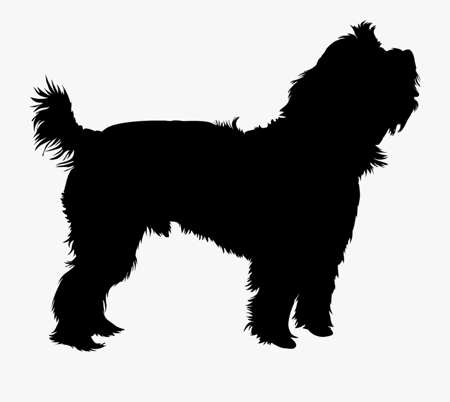 Yorkie Silhouette , Transparent Cartoon, Free Cliparts.