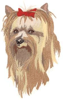 Yorkshire terrier clipart 20 free Cliparts | Download images on