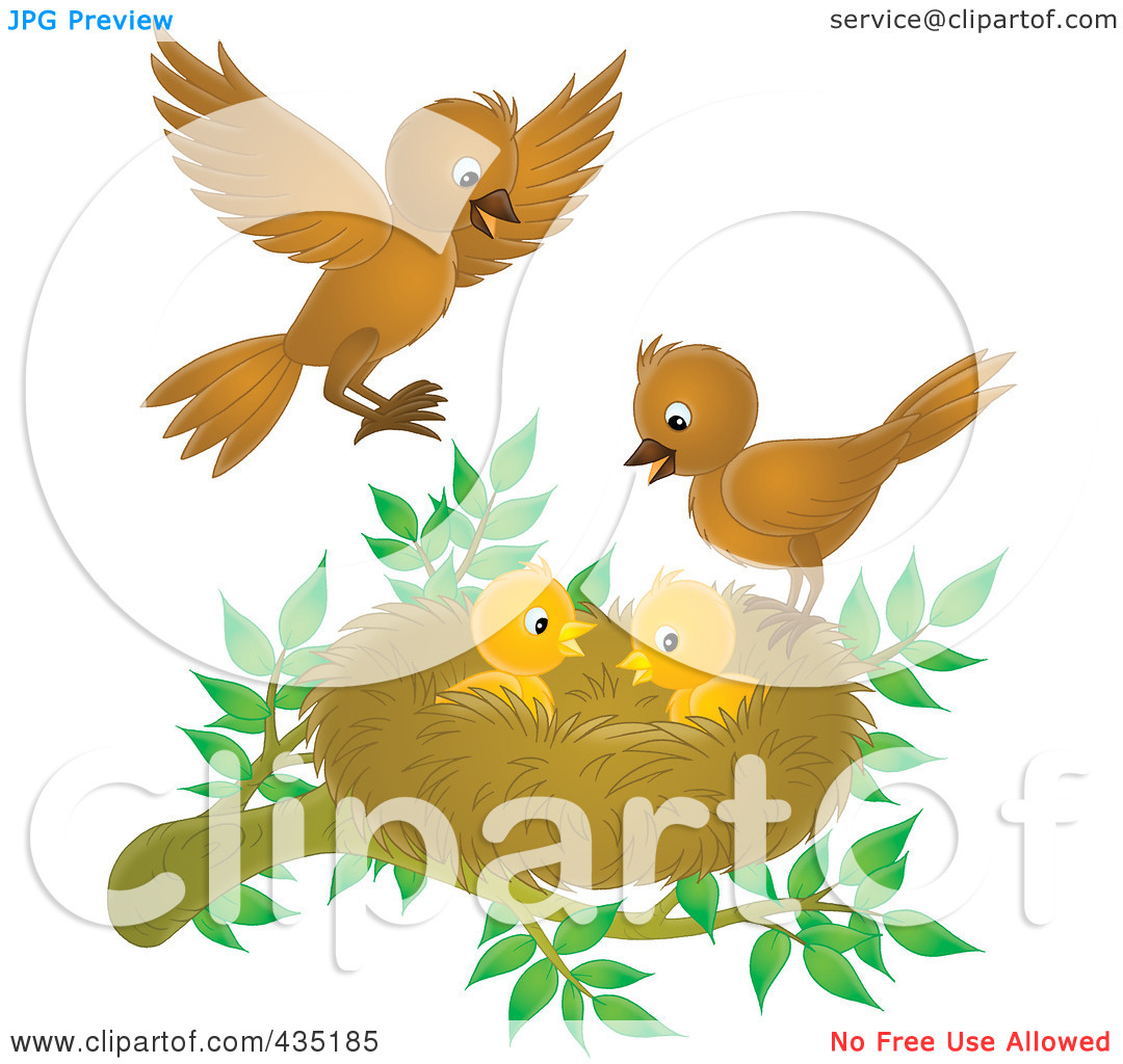 Young birds clipart 20 free Cliparts | Download images on Clipground 2021