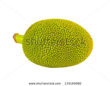 Clipart jackfruit.