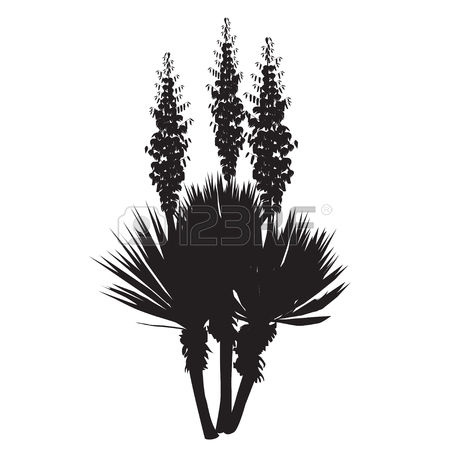 208 Yucca Stock Vector Illustration And Royalty Free Yucca Clipart.