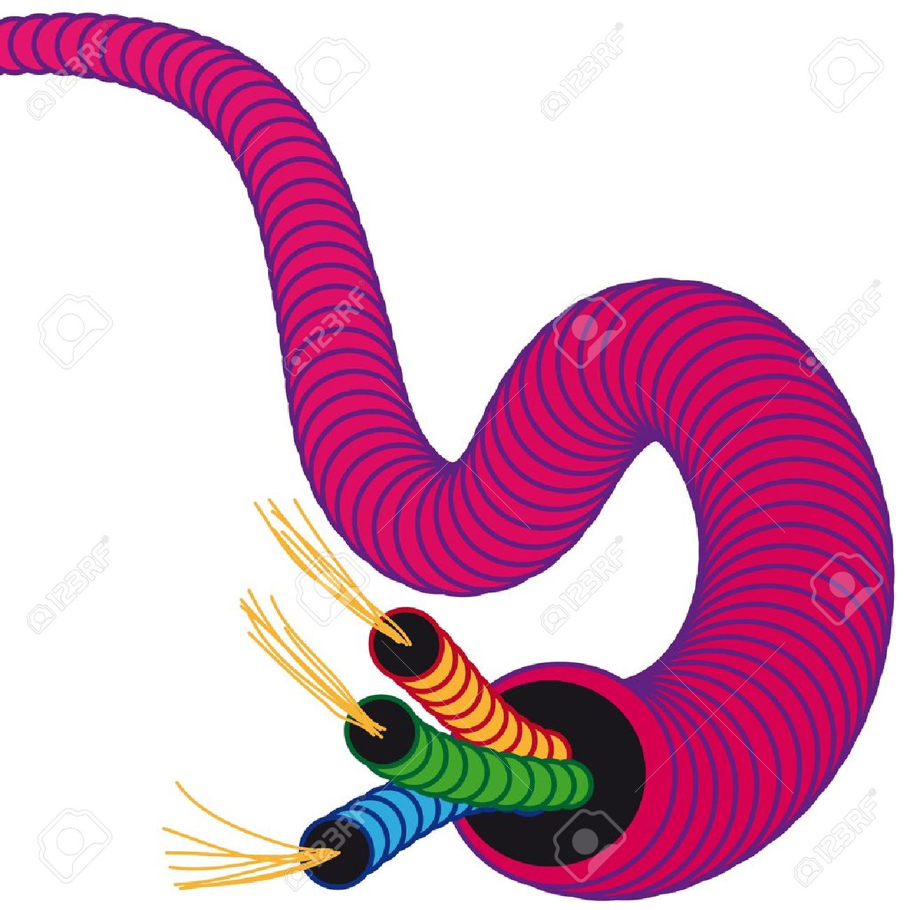 630 Copper Cable Stock Vector Illustration And Royalty Free Copper.