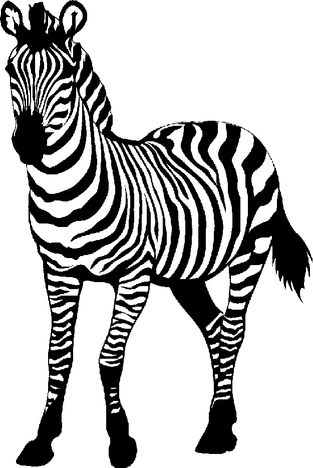 Zebra Clipart.