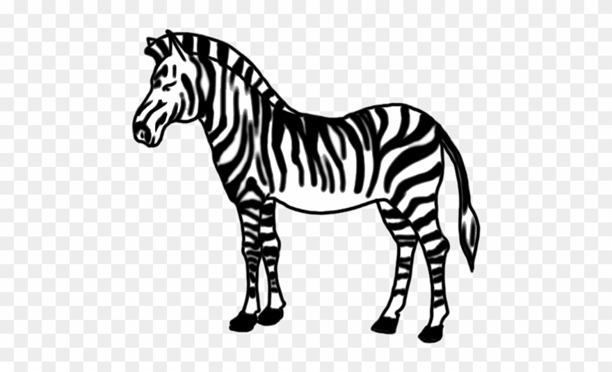 zebra clipart easy 10 free Cliparts Download images on