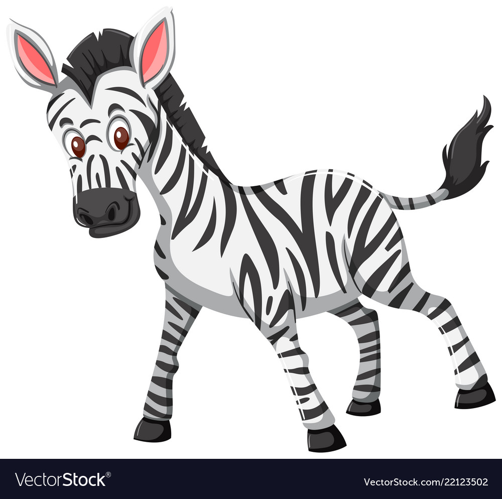 zebra clipart formatt