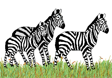 Zebra Clip Art.