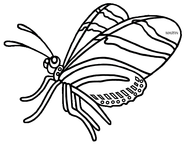zebra longwing butterfly coloring pages free united states clip.